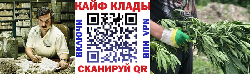 Где купить Новомичуринск Галлюциногенные грибы  Гашиш 