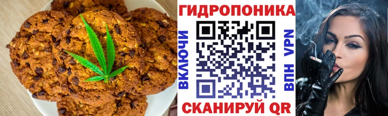 гидра как войти  сайты даркнета формула  Canna-Cookies конопля  купить закладку  Новомичуринск 