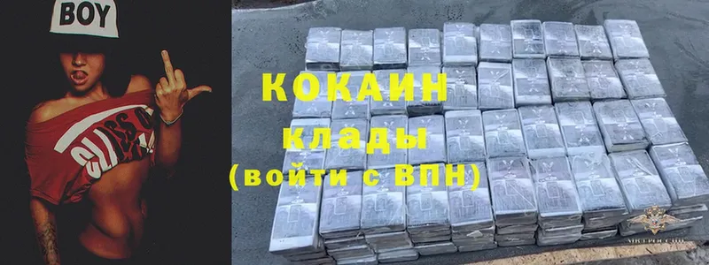 COCAIN FishScale  где купить наркоту  Новомичуринск 