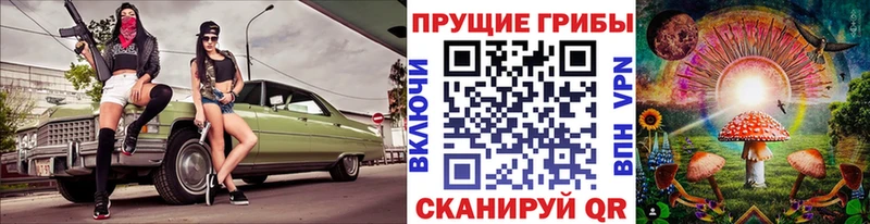 наркошоп  Новомичуринск  Галлюциногенные грибы Psilocybe 